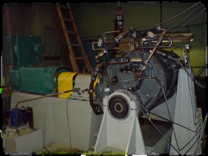 image003.jpg